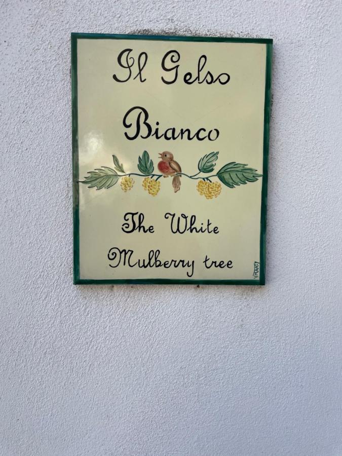 Il Gelso Bianco -The White Mulberry Tree Villa Ravello Dış mekan fotoğraf